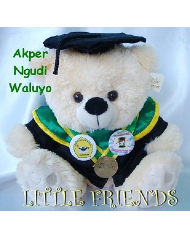Boneka Wisuda Akademi Keperawatan Ngudi Waluyo (30 cm)